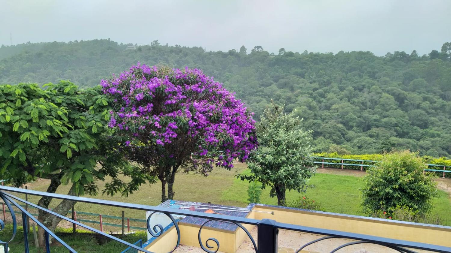 Fazenda à venda com 7 quartos, 20000m² - Foto 17