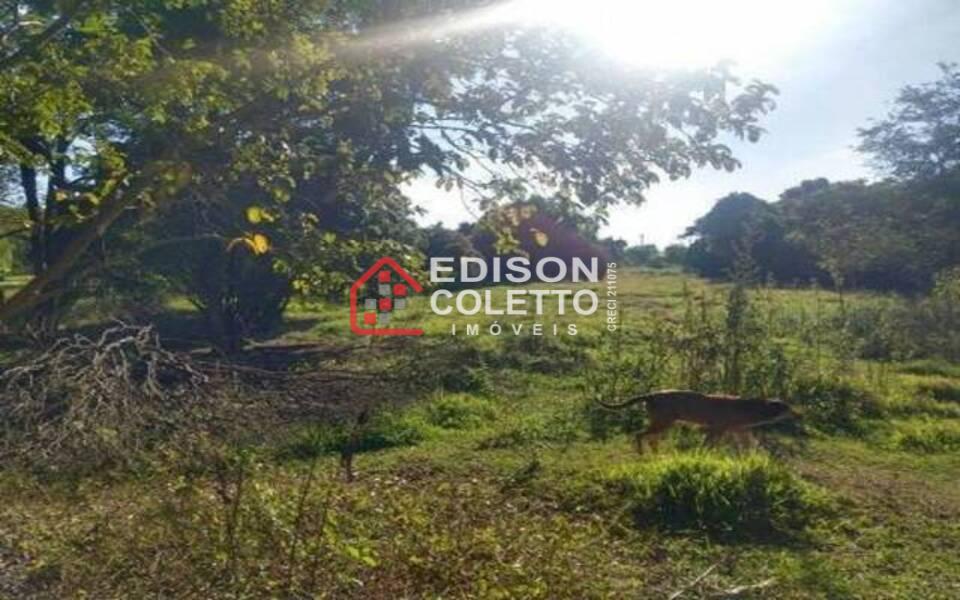 Fazenda à venda com 2 quartos, 25000m² - Foto 36