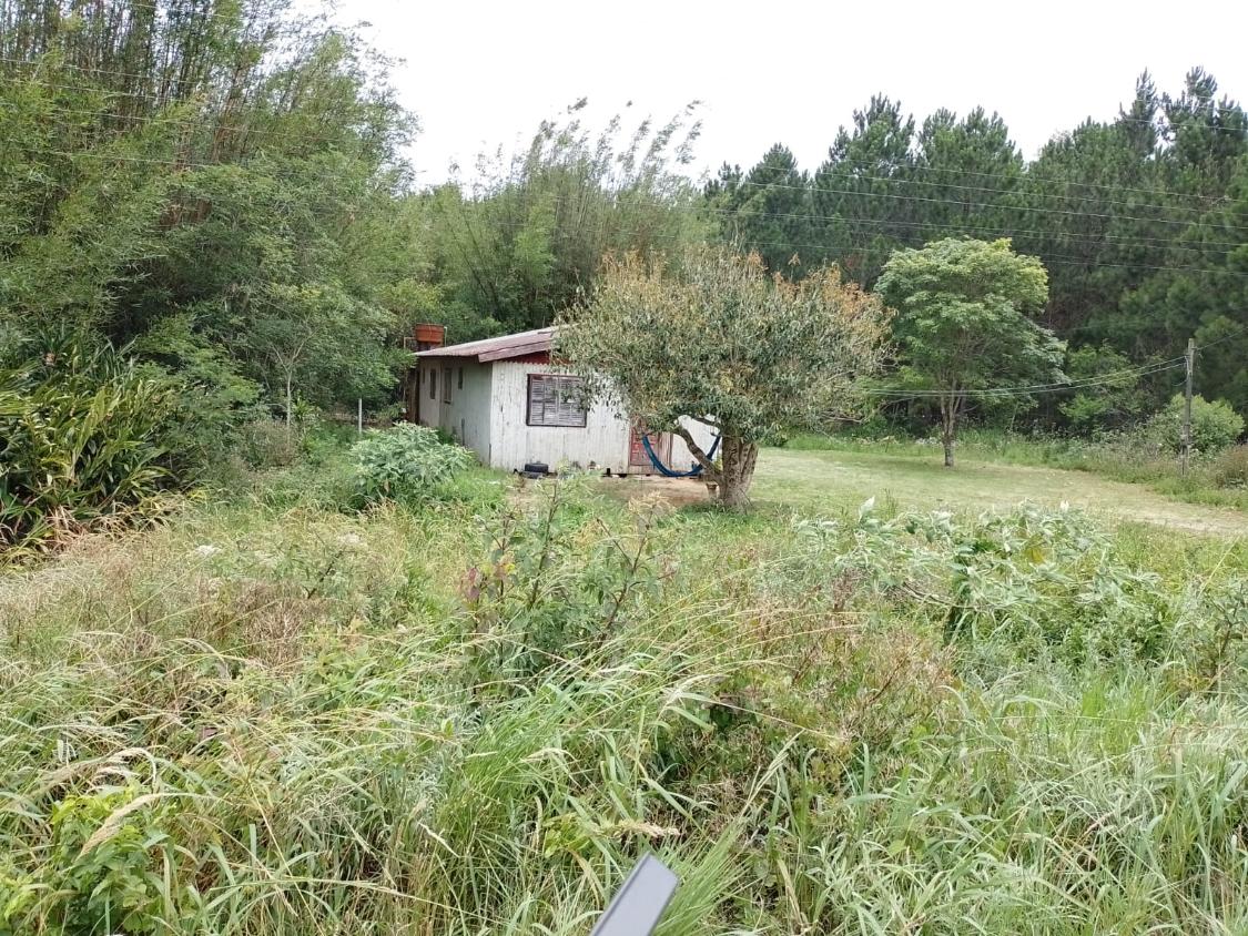 Fazenda à venda com 3 quartos, 10000m² - Foto 5