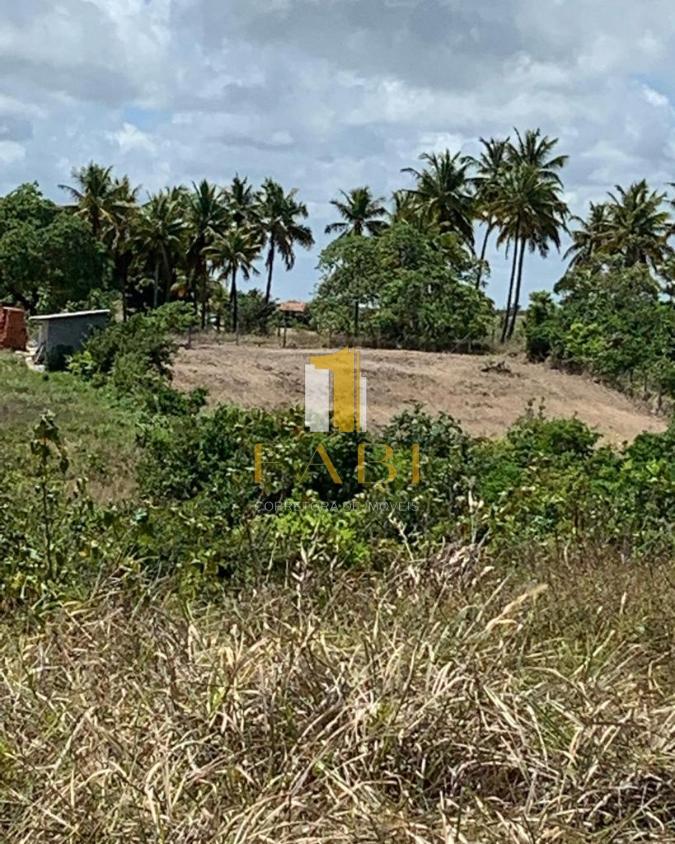 Terreno à venda, 1800m² - Foto 5