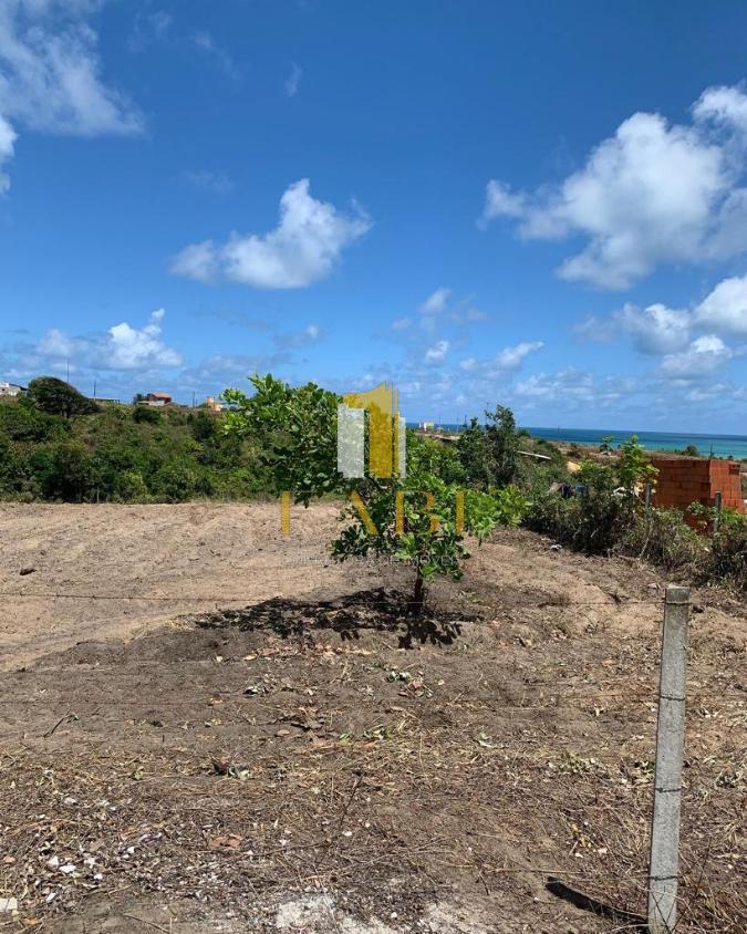 Terreno à venda, 1800m² - Foto 2