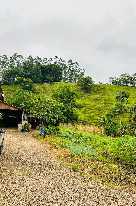 Fazenda à venda com 4 quartos, 60000m² - Foto 4