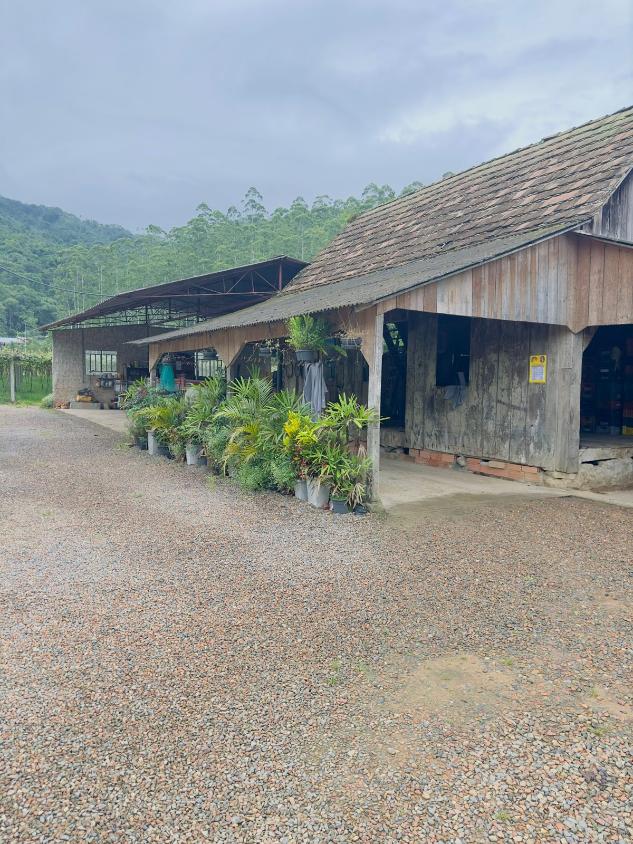 Fazenda à venda com 4 quartos, 60000m² - Foto 16