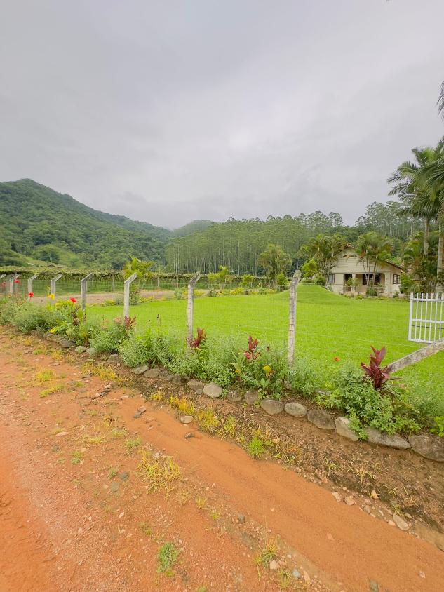 Fazenda à venda com 4 quartos, 60000m² - Foto 10