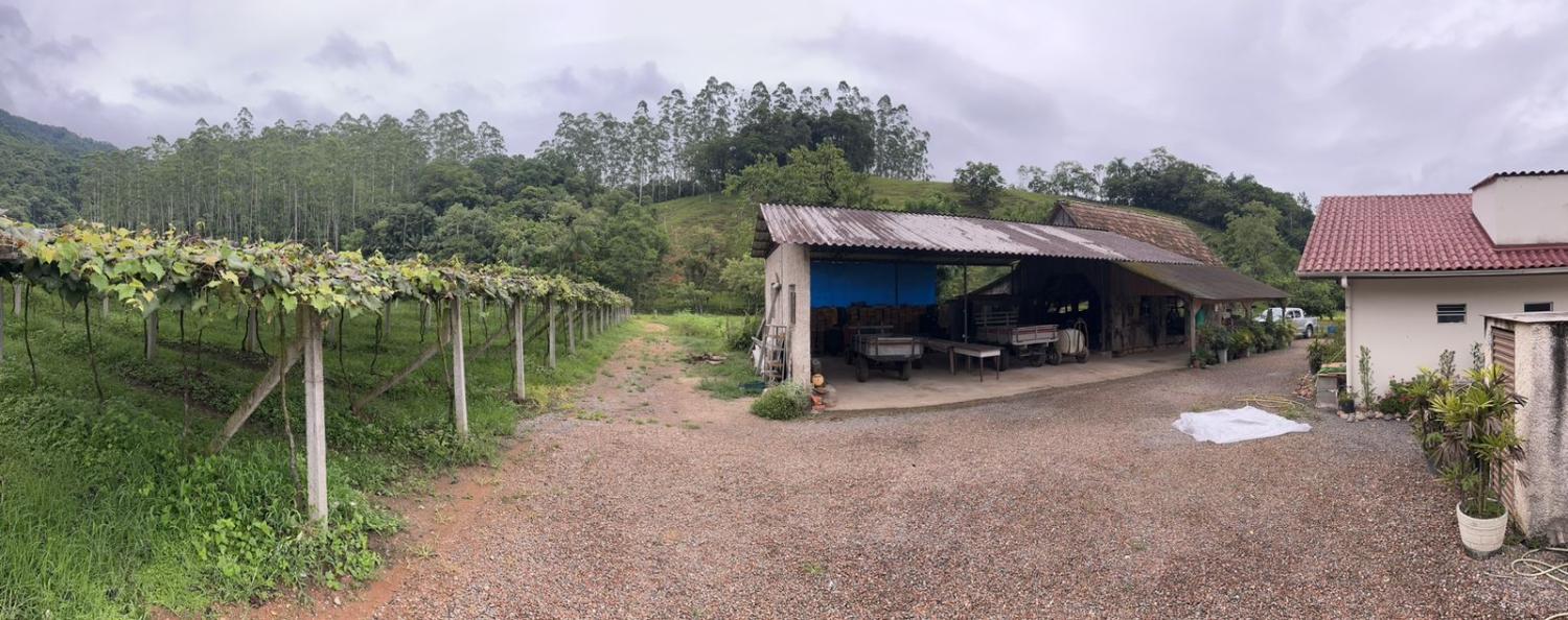 Fazenda à venda com 4 quartos, 60000m² - Foto 8