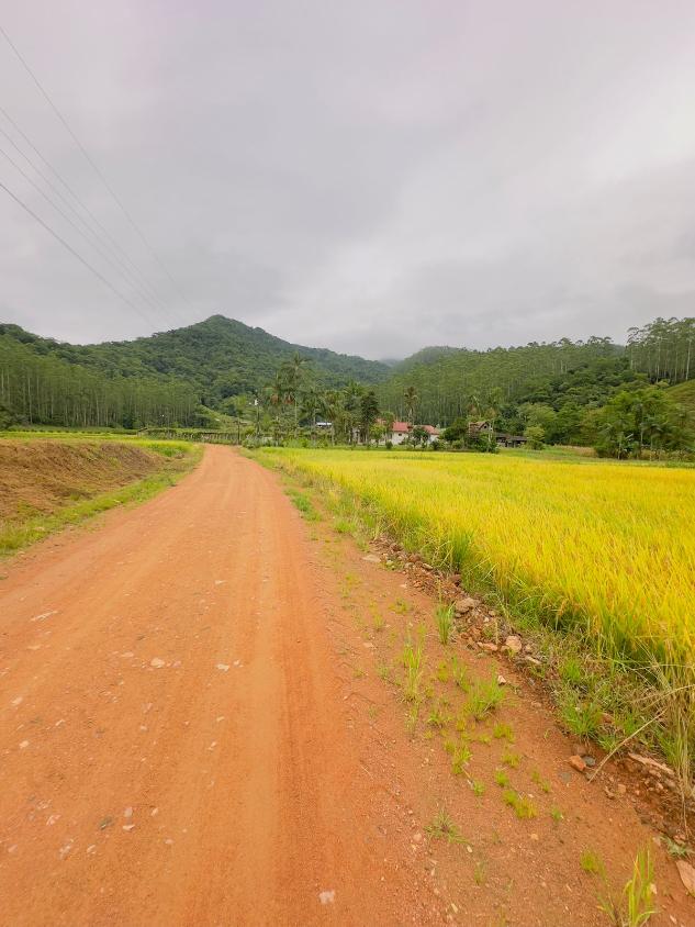 Fazenda à venda com 4 quartos, 60000m² - Foto 12