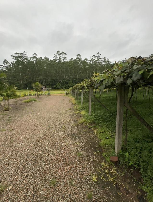 Fazenda à venda com 4 quartos, 60000m² - Foto 13