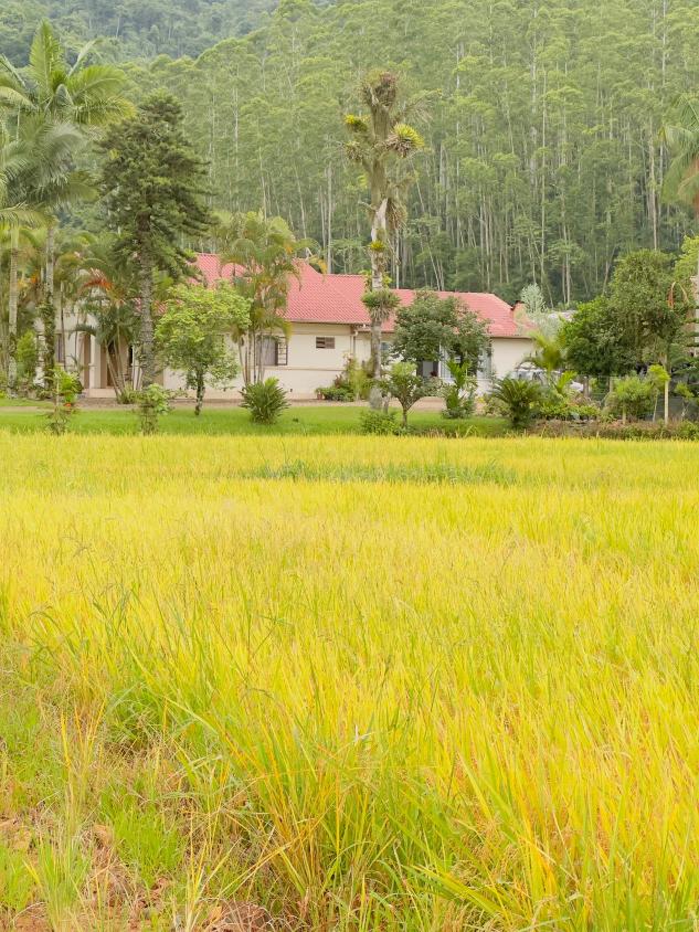 Fazenda à venda com 4 quartos, 60000m² - Foto 11