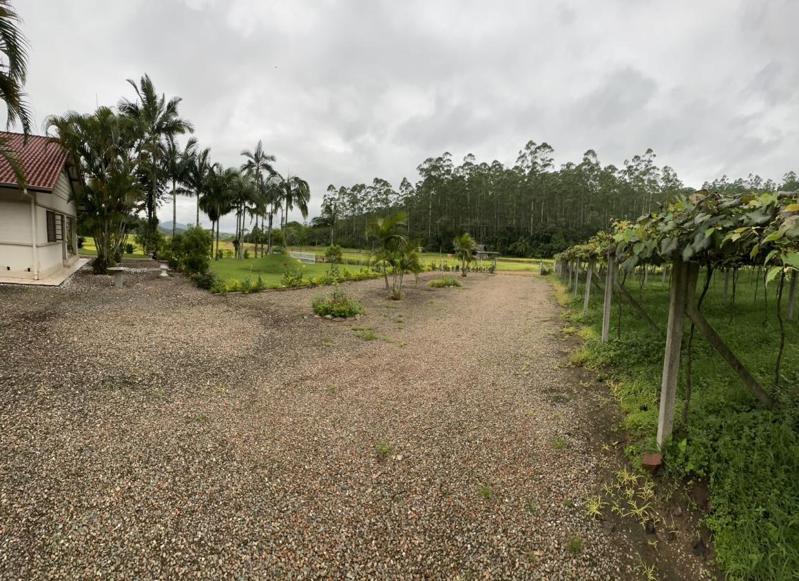 Fazenda à venda com 4 quartos, 60000m² - Foto 6