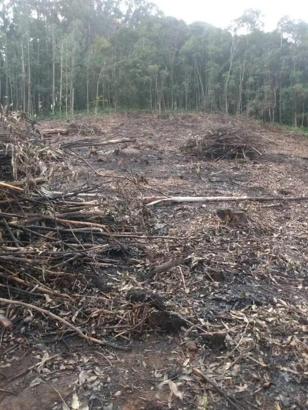 Fazenda à venda - Foto 2