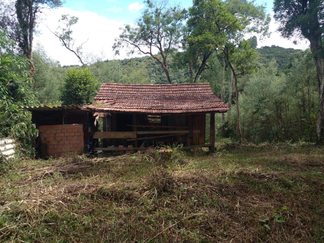 Fazenda à venda - Foto 4