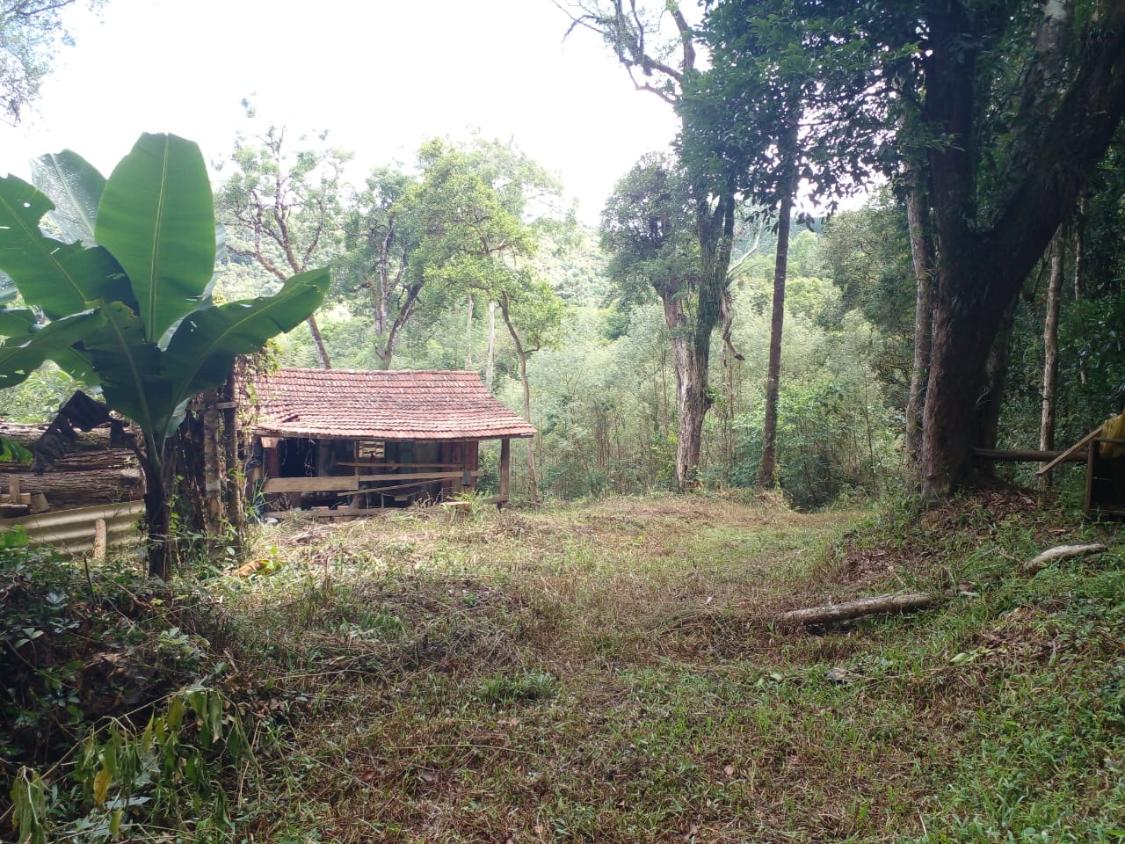 Fazenda à venda - Foto 5