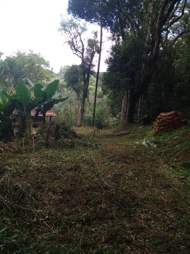 Fazenda à venda - Foto 6