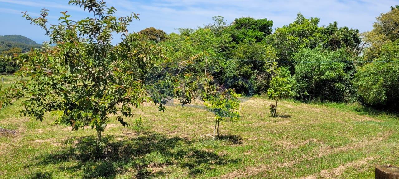 Fazenda à venda, 3000m² - Foto 9