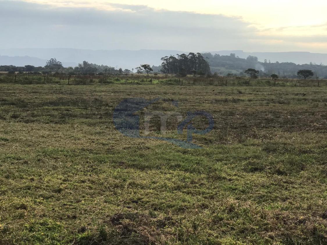 Fazenda à venda, 120000m² - Foto 5