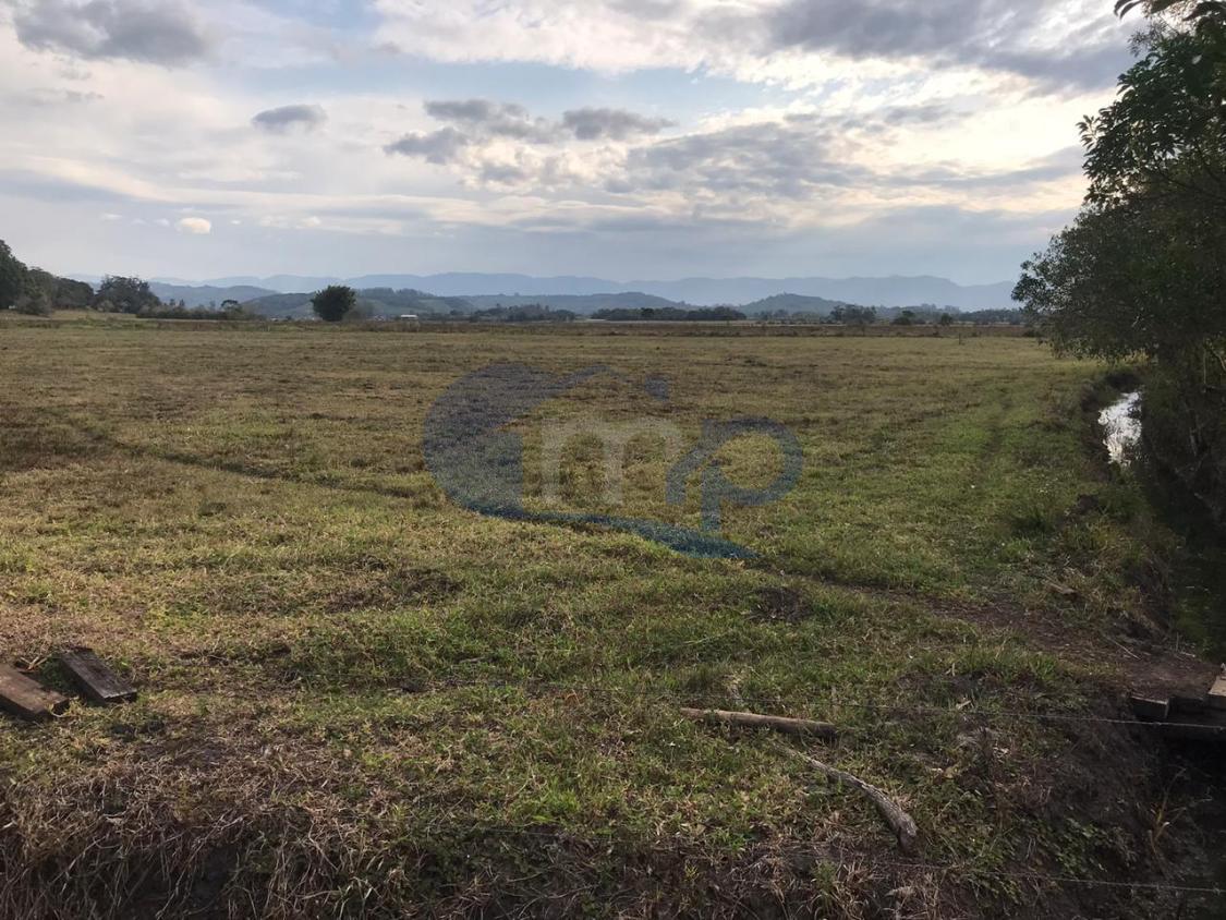 Fazenda à venda, 120000m² - Foto 3