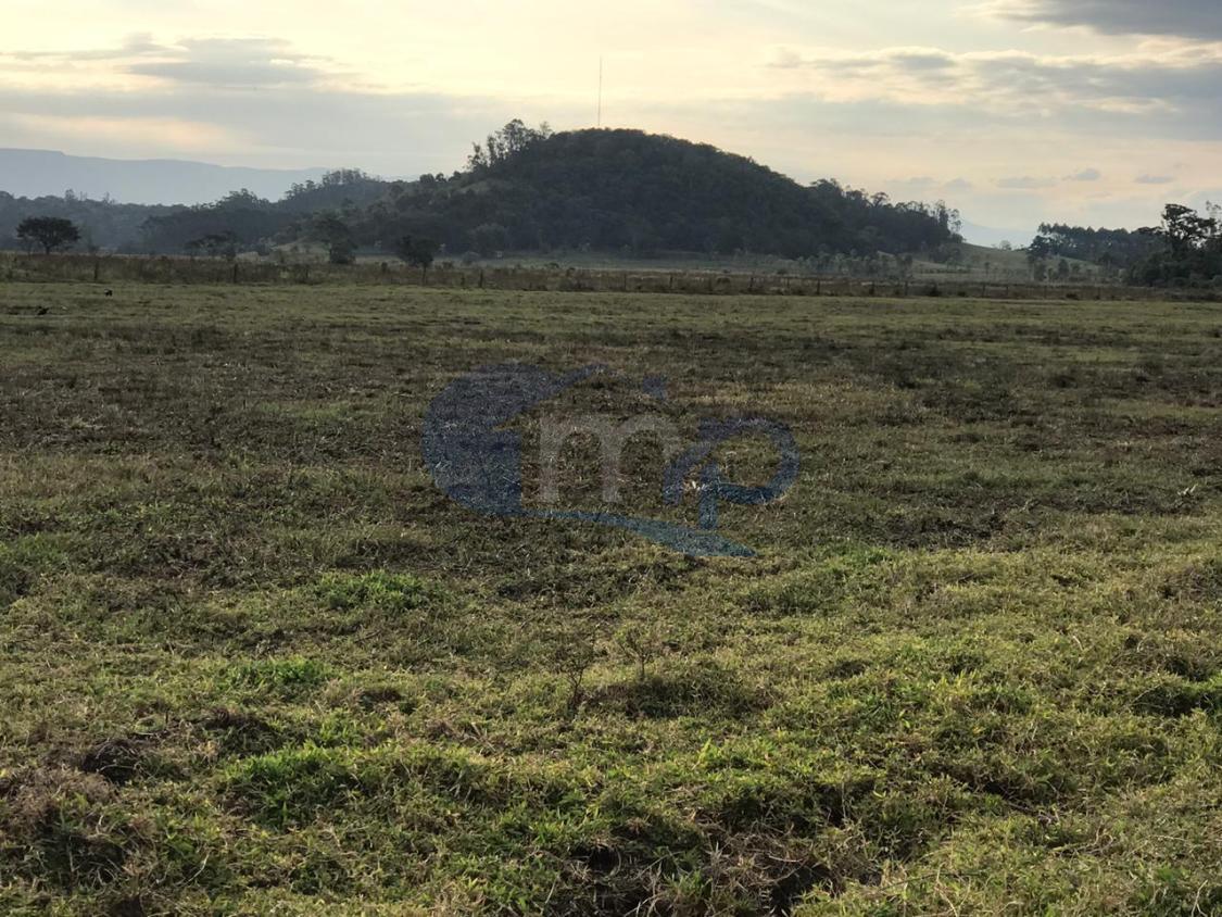 Fazenda à venda, 120000m² - Foto 8