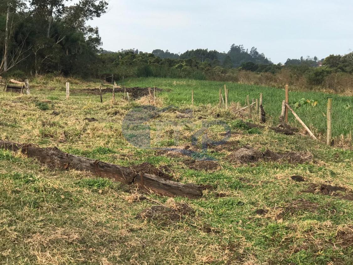 Fazenda à venda, 120000m² - Foto 11