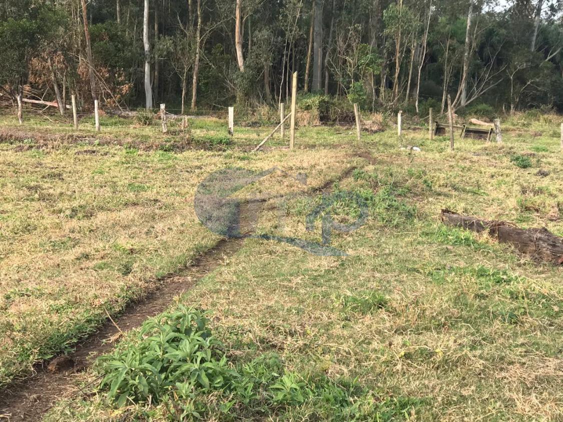 Fazenda à venda, 120000m² - Foto 14