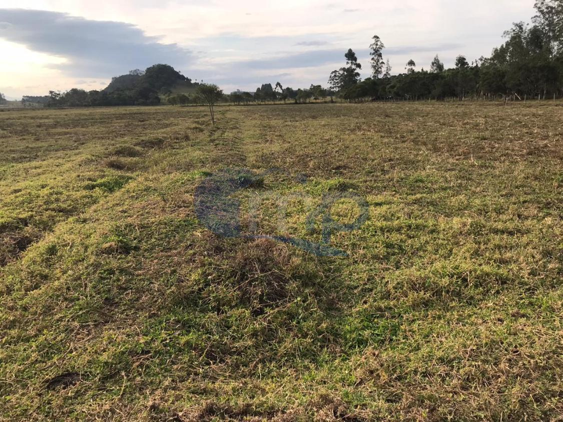 Fazenda à venda, 120000m² - Foto 17