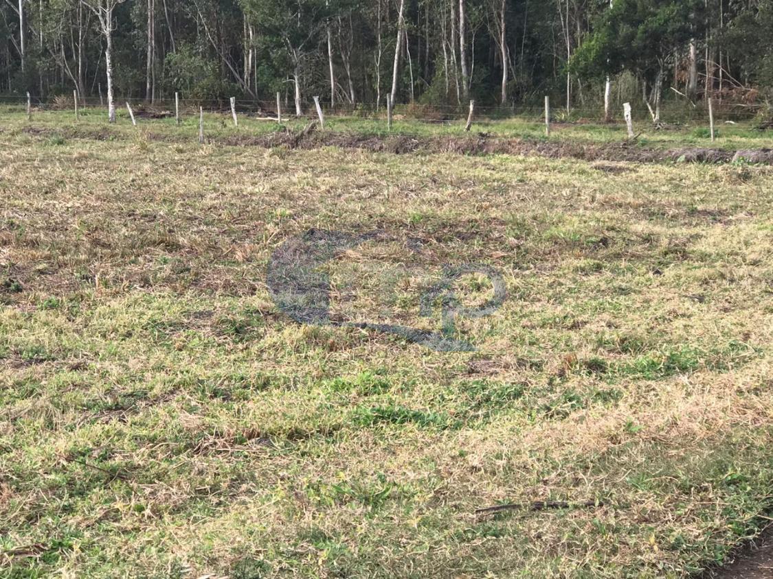 Fazenda à venda, 120000m² - Foto 12