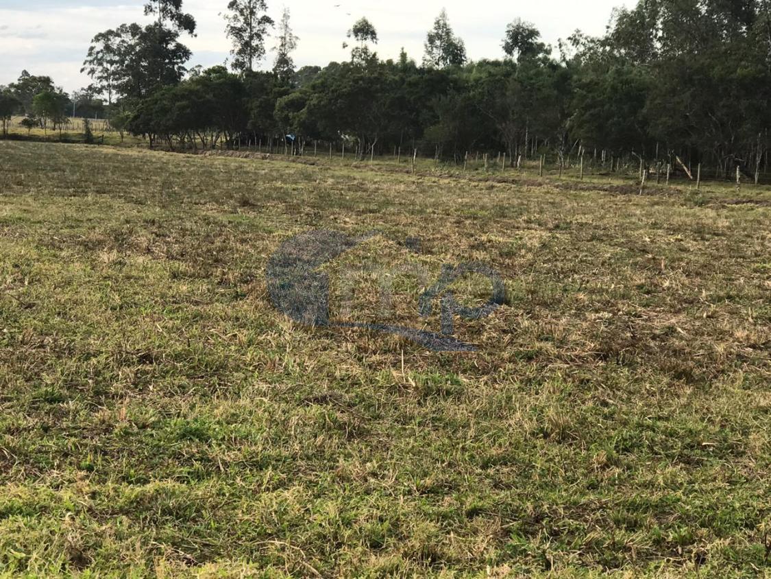 Fazenda à venda, 120000m² - Foto 13