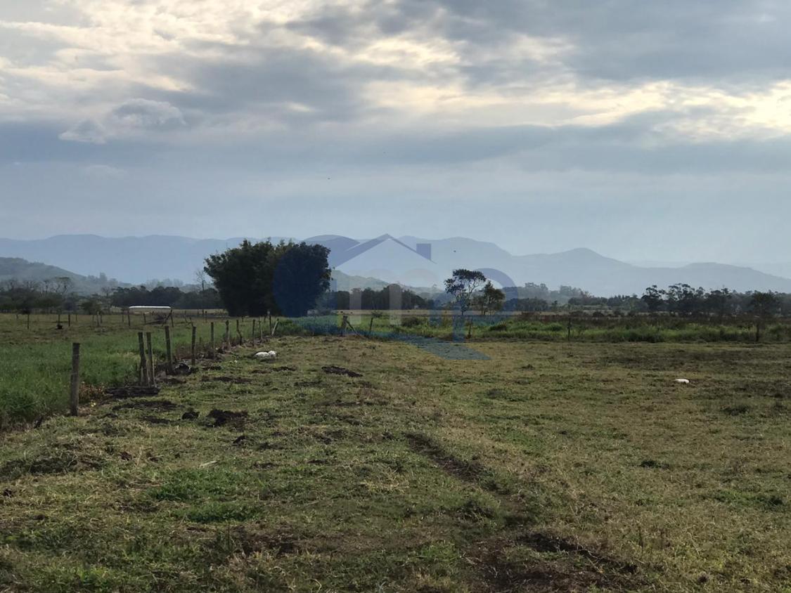 Fazenda à venda, 120000m² - Foto 6