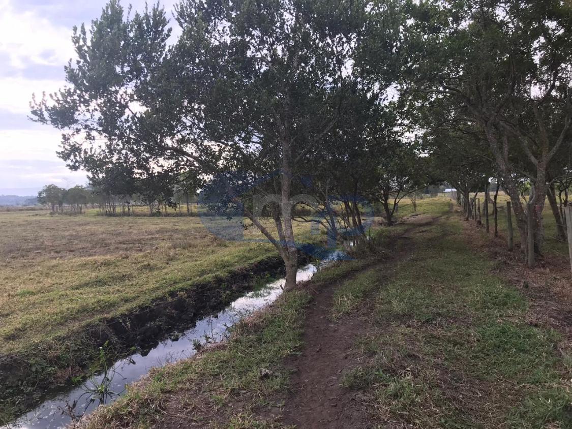 Fazenda à venda, 120000m² - Foto 22