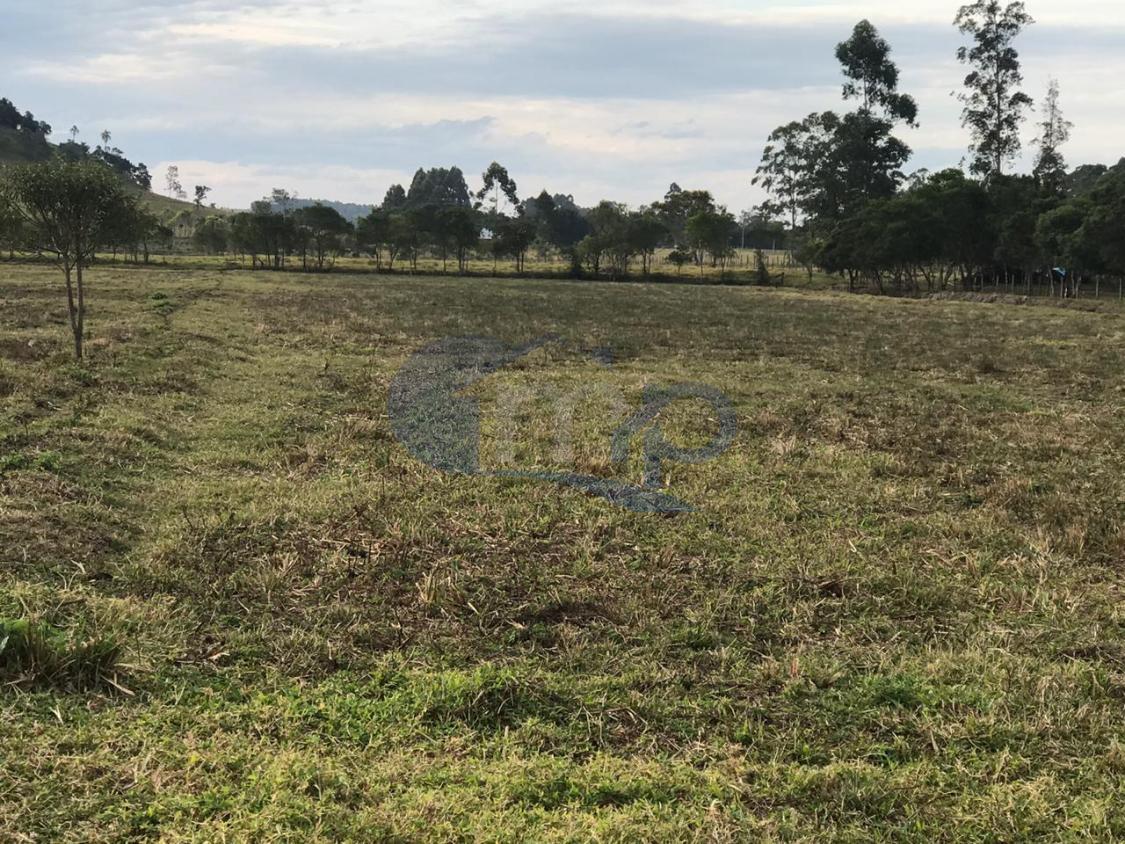 Fazenda à venda, 120000m² - Foto 10