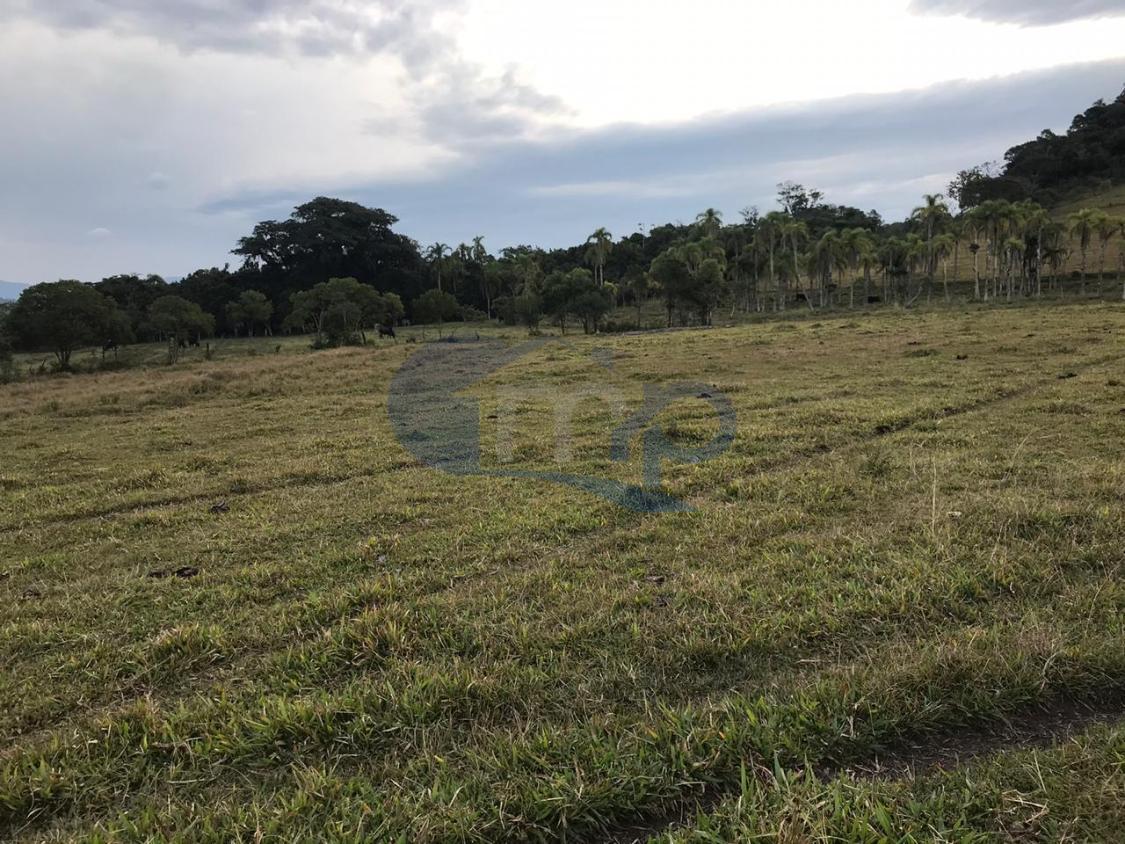 Fazenda à venda, 120000m² - Foto 32