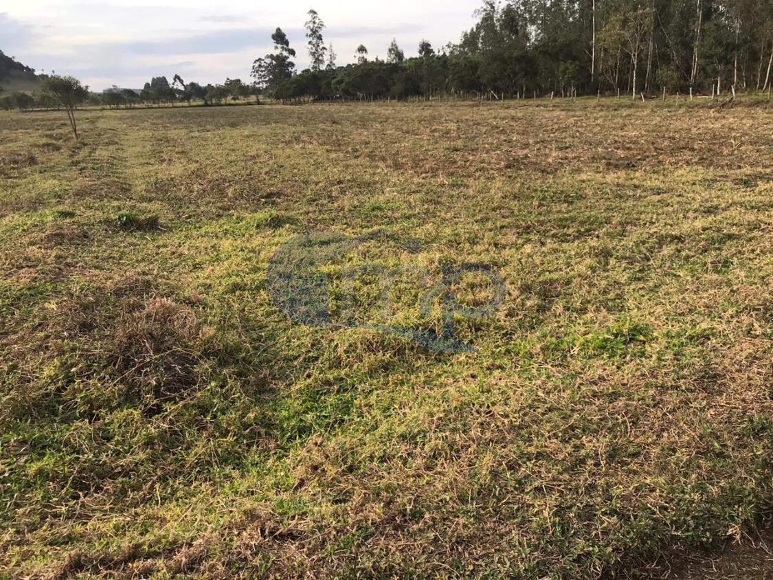 Fazenda à venda, 120000m² - Foto 20