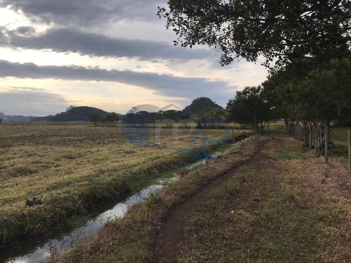 Fazenda à venda, 120000m² - Foto 18