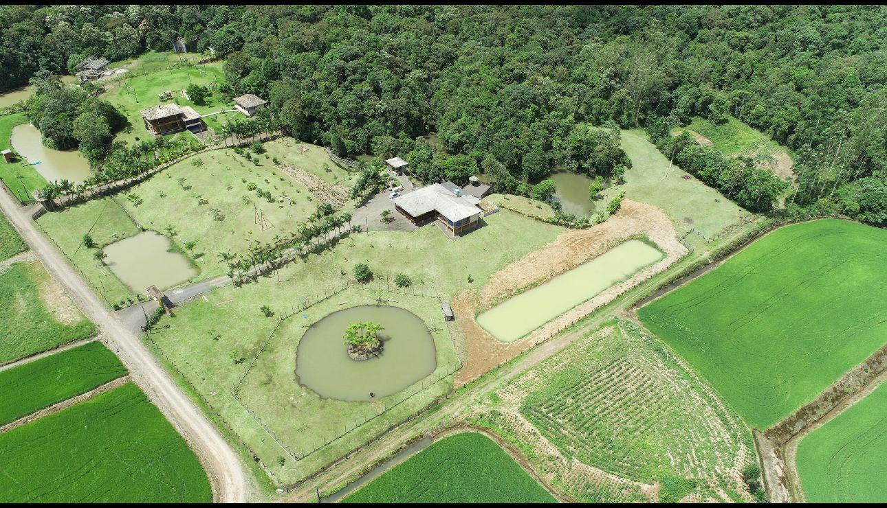 Fazenda à venda com 4 quartos, 72000m² - Foto 5