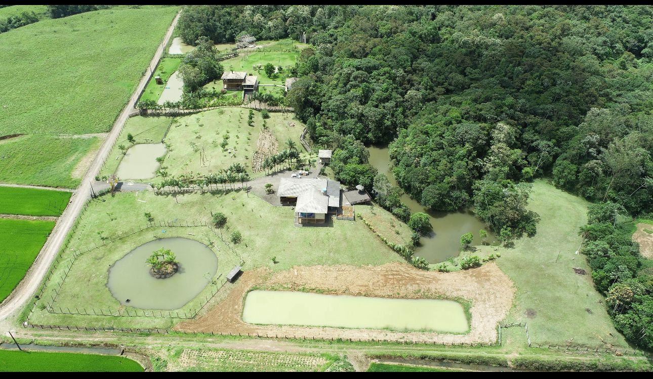 Fazenda à venda com 4 quartos, 72000m² - Foto 6