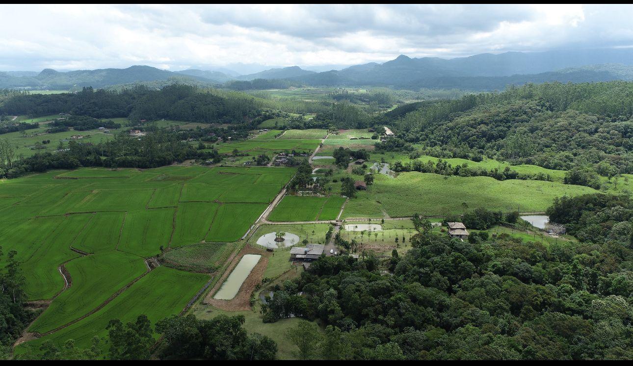 Fazenda à venda com 4 quartos, 72000m² - Foto 7