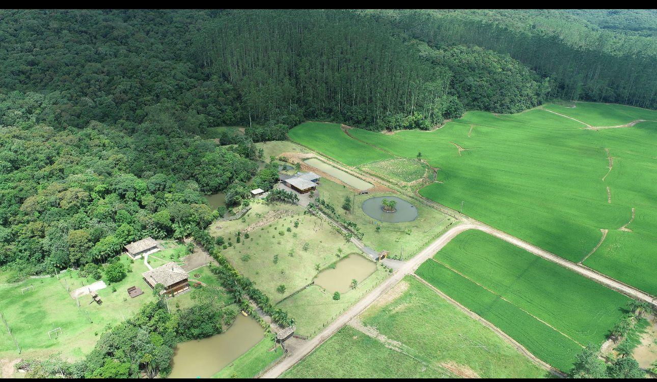 Fazenda à venda com 4 quartos, 72000m² - Foto 8