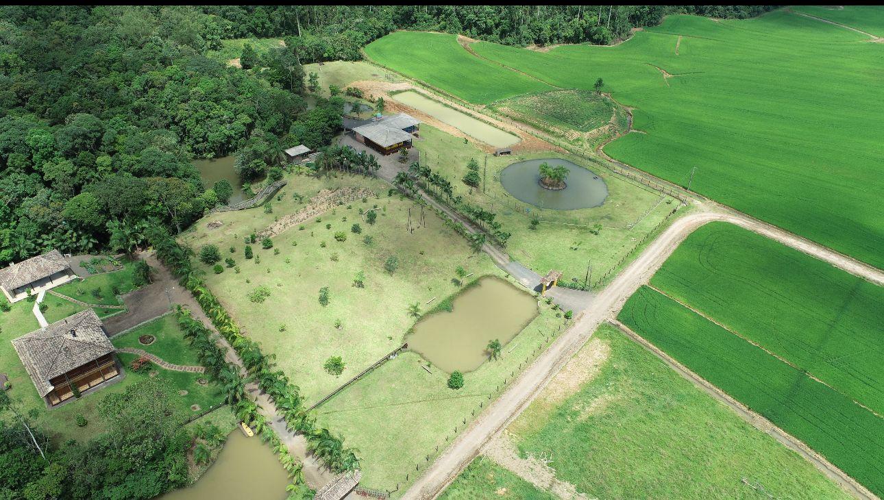 Fazenda à venda com 4 quartos, 72000m² - Foto 9