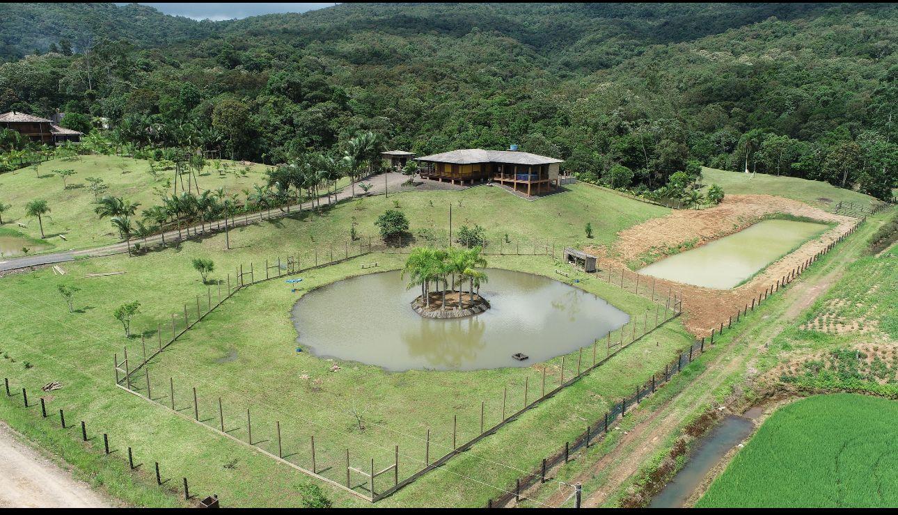 Fazenda à venda com 4 quartos, 72000m² - Foto 10