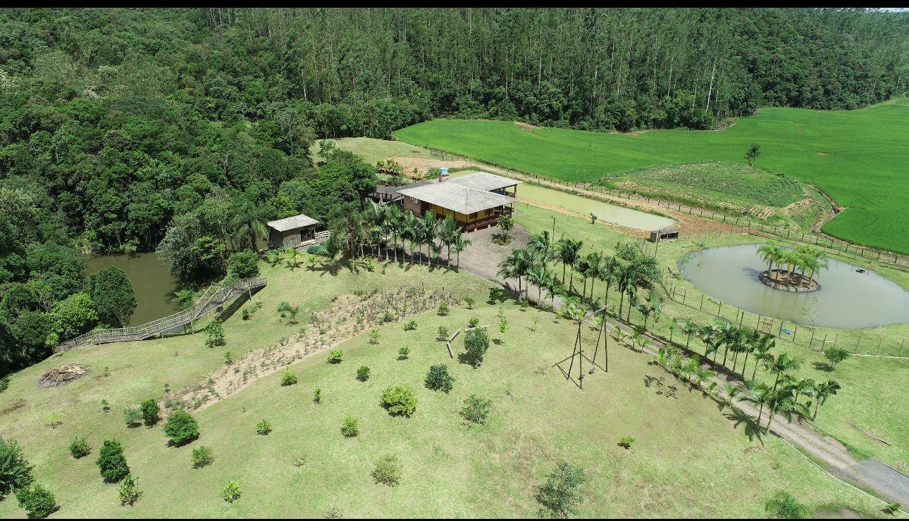 Fazenda à venda com 4 quartos, 72000m² - Foto 13