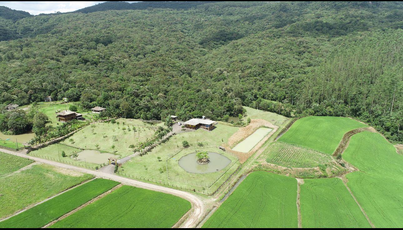 Fazenda à venda com 4 quartos, 72000m² - Foto 14