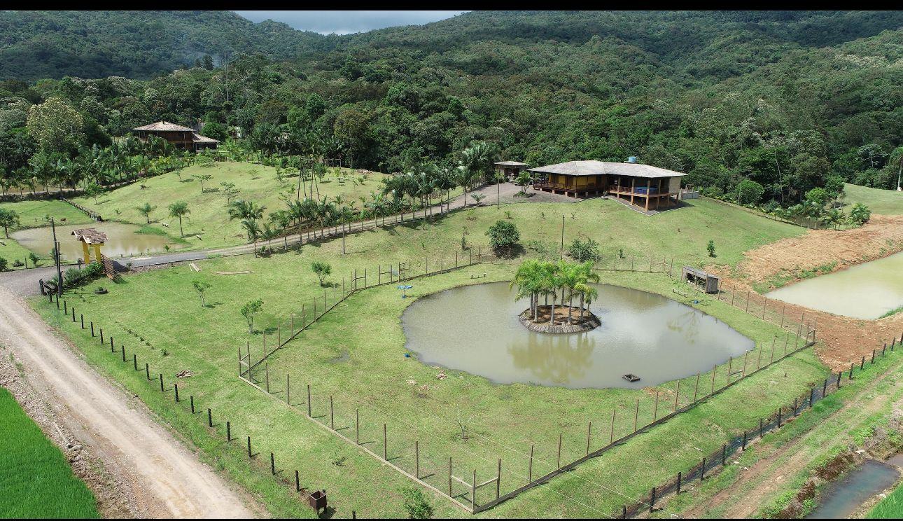 Fazenda à venda com 4 quartos, 72000m² - Foto 11