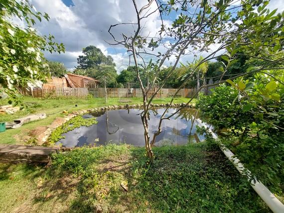 Fazenda à venda com 2 quartos, 2000m² - Foto 17