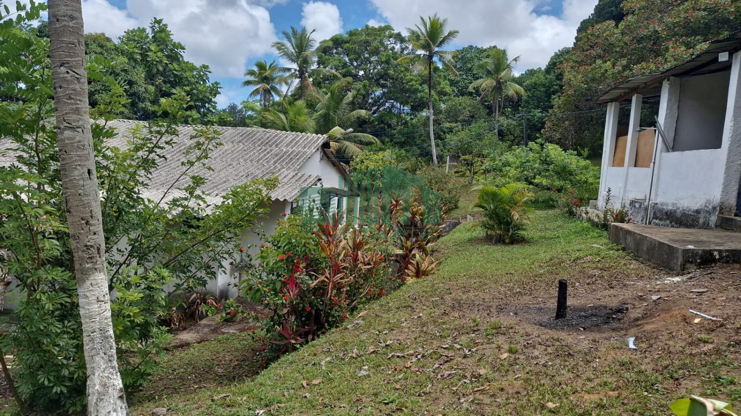 Fazenda à venda com 3 quartos, 5000m² - Foto 8