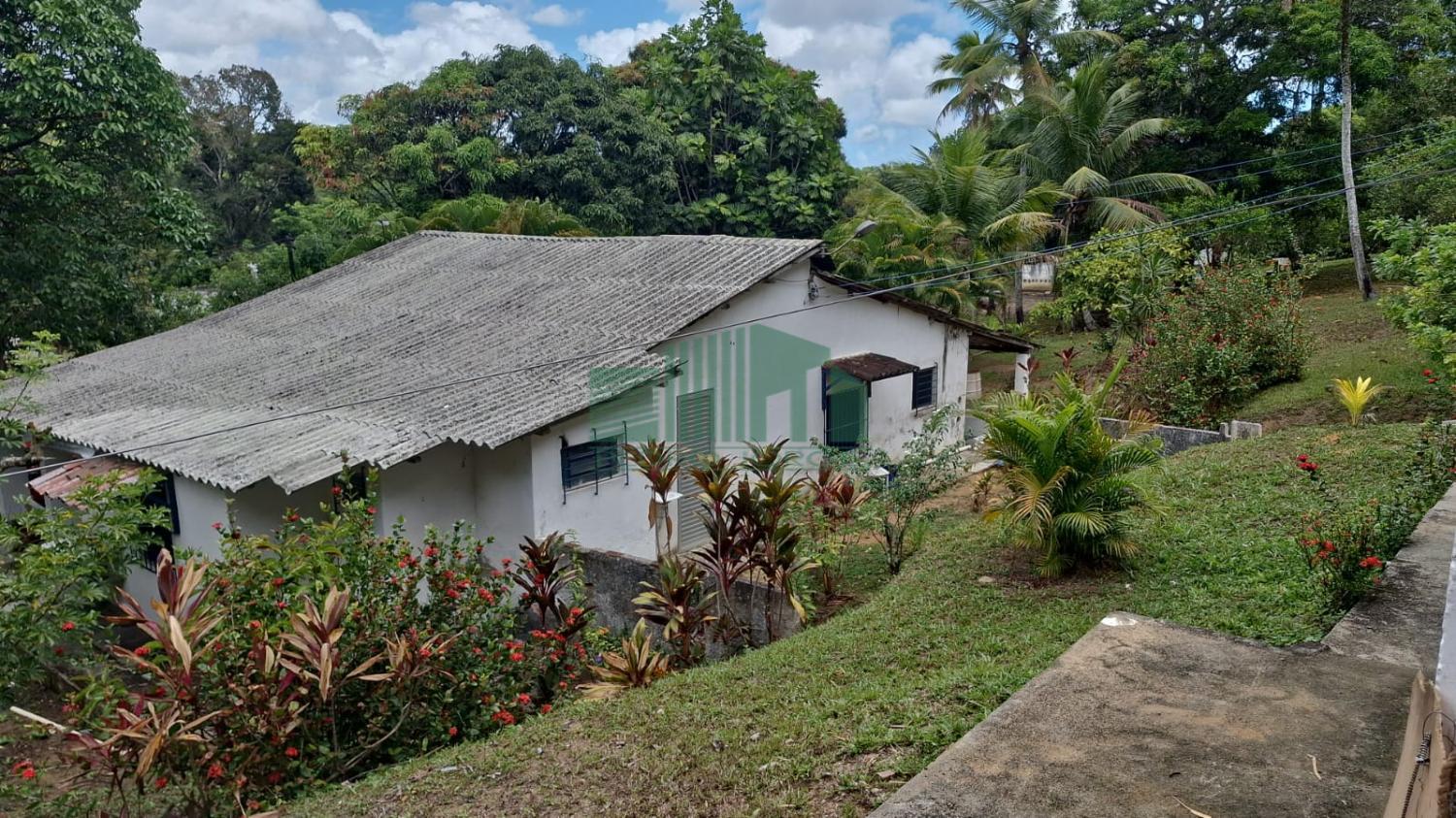 Fazenda à venda com 3 quartos, 5000m² - Foto 11