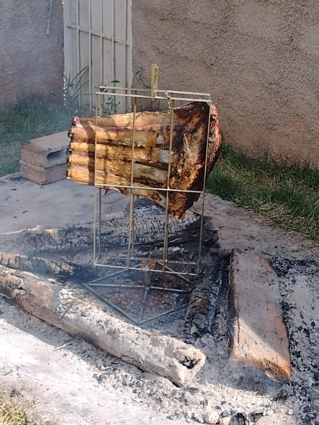 Fazenda à venda com 1 quarto, 500m² - Foto 5