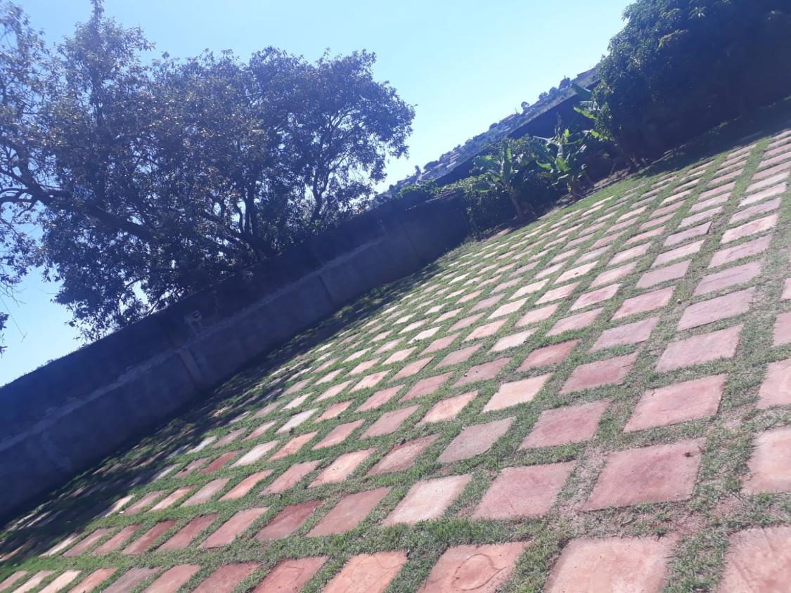 Fazenda à venda com 1 quarto, 500m² - Foto 14