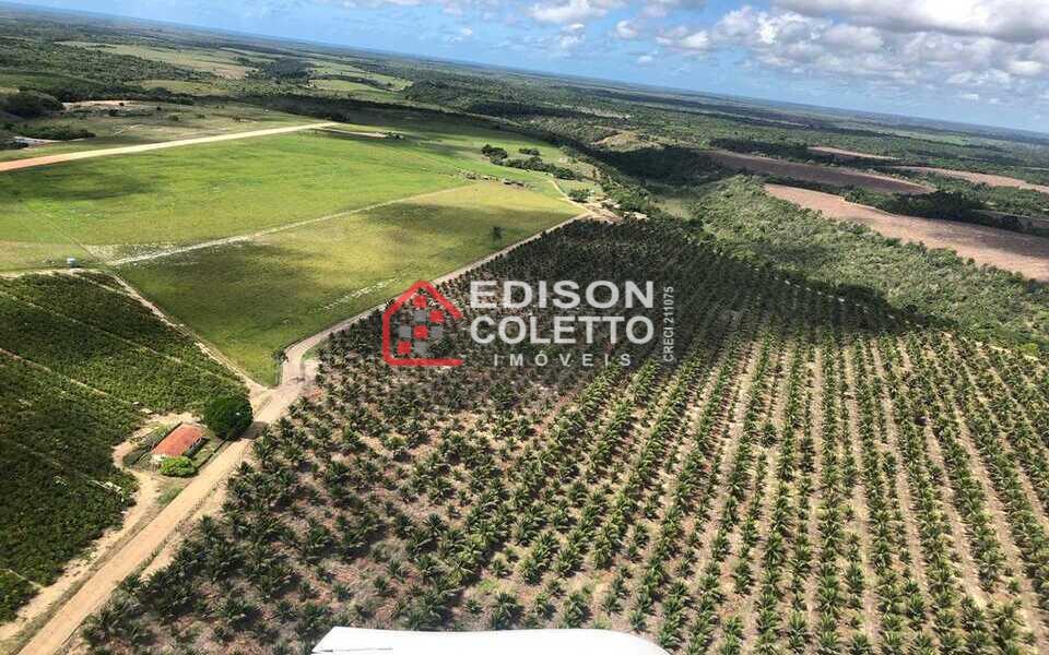 Fazenda à venda, 6000000m² - Foto 3