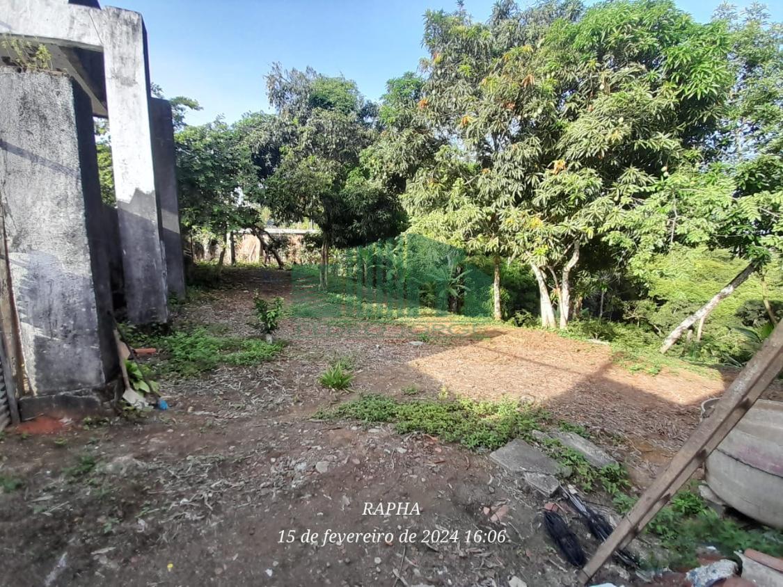 Fazenda à venda com 2 quartos, 2100m² - Foto 5