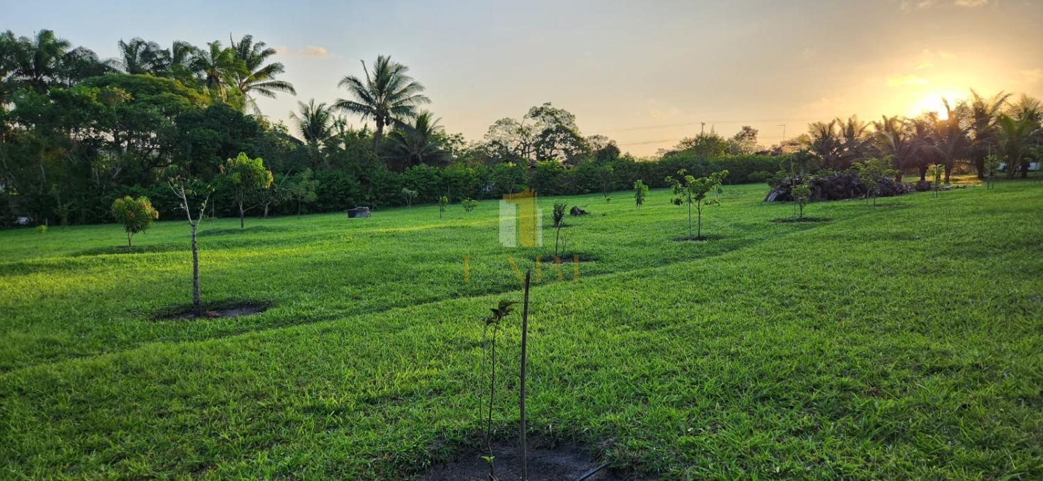 Fazenda à venda com 2 quartos, 14600m² - Foto 8