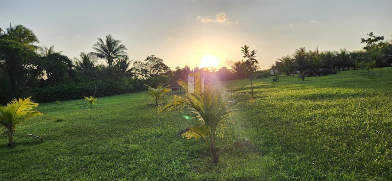 Fazenda à venda com 2 quartos, 14600m² - Foto 20